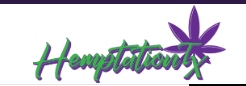 Hemptations Plano - Plano Logo