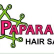 Paparazzi Hair Salon Logo