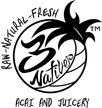 3 Natives- UCF Logo