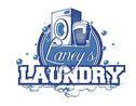 Laney's Laundry and Dry Clean  Logo