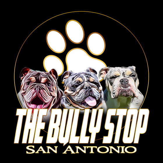 The Bully Stop - San Antonio Logo