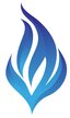 Blue Spot SS - Scottsdale Logo