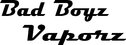 Bad Boyz Vz Logo