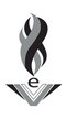 eVation V Shoppe Logo