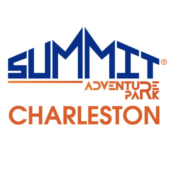Summit AP - Charleston Logo