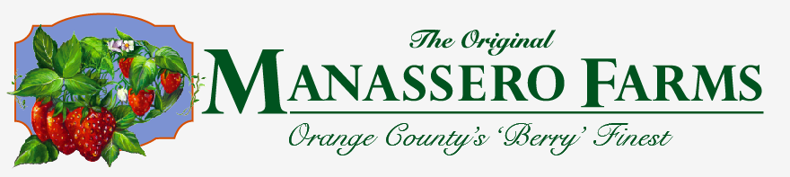 Manassero Farms - North Rose Logo