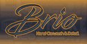 Brio Hand Carwash & Detail Logo