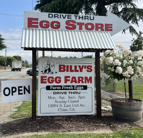 Billy's Egg Farm - Chino Logo