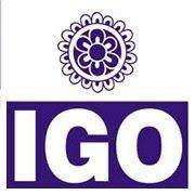 IGO - Edison Logo