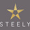 Steely Chicago Logo