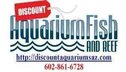 Discount Aquarium Fish & Reef Logo