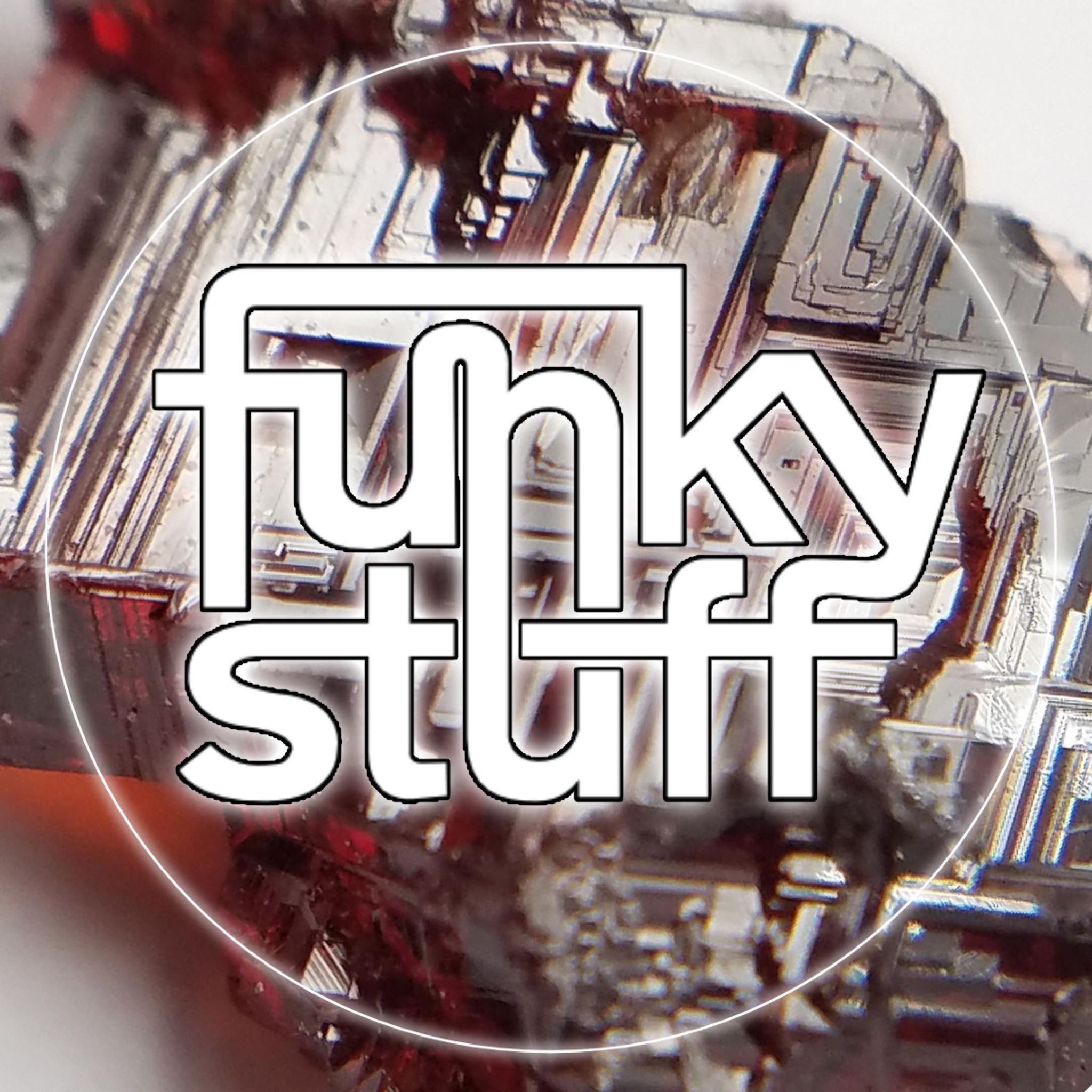 Funky Stuff Logo