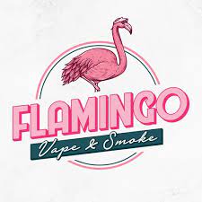 Flamingo v and s - Miami Logo