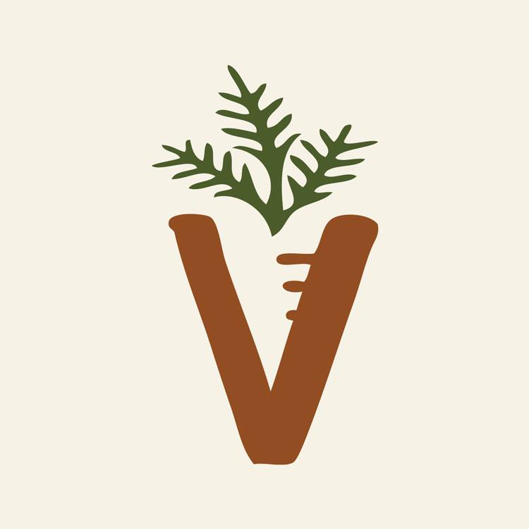 The Veggie Bin - Charleston Logo