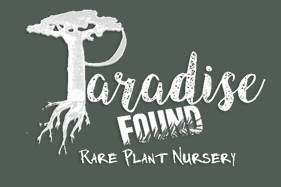 Paradise Found Nursery Logo