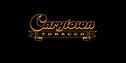 Carytown T - Charlottesville Logo