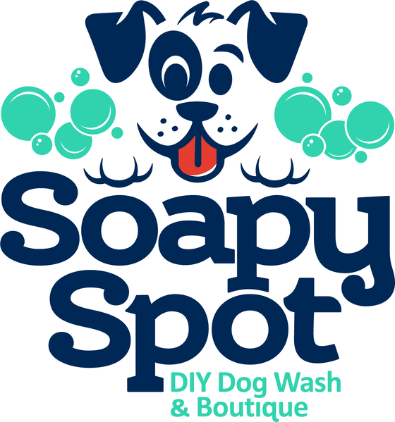 THE SOAPY SPOT Logo