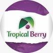 Tropical Berry Seattle Logo