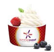 Summer Sweet Froyo Logo