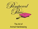 Pampered Paws Limited Logo