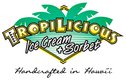 Tropilicious Ice Cream Shop Logo