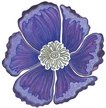 The Purple Poppy - Lafayette Logo