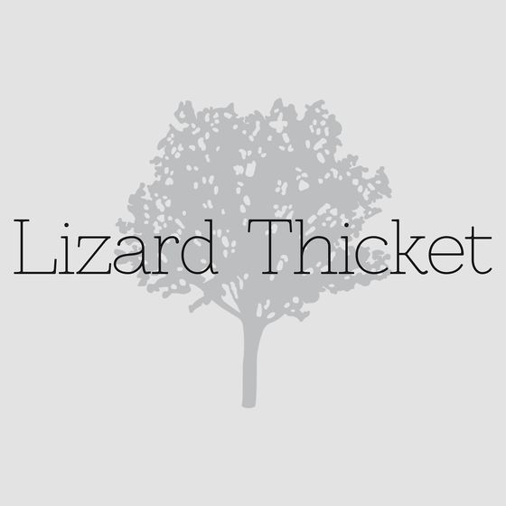 Lizard Thicket Wesley Chapel Logo