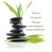 NovaTherapeuticMassage- Spring Logo