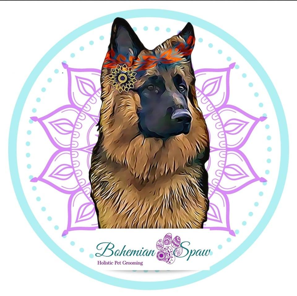 Bohemian Spaw - Lisle Logo