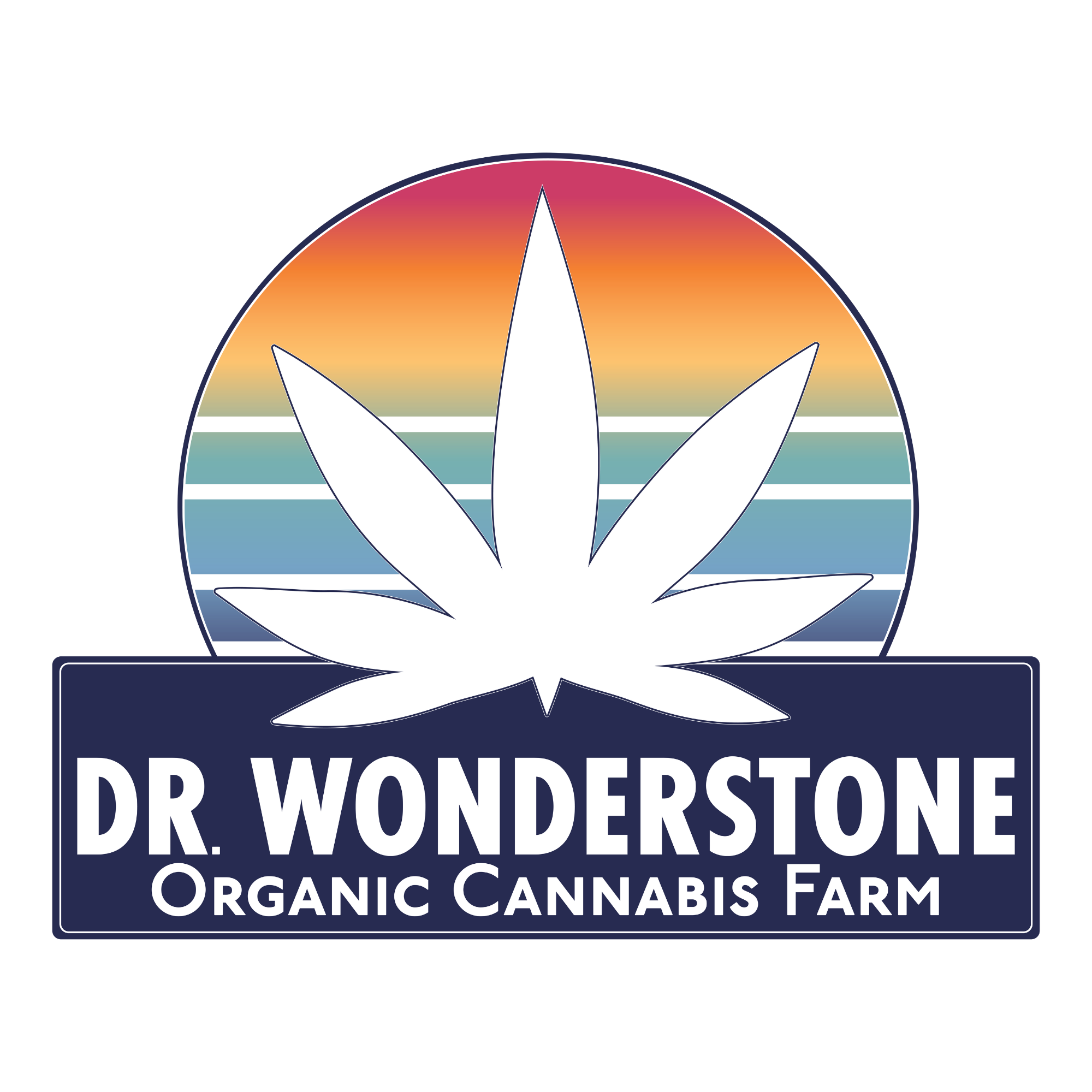Dr. Wonderstone - Chattanooga Logo