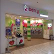 Berry Delight Logo